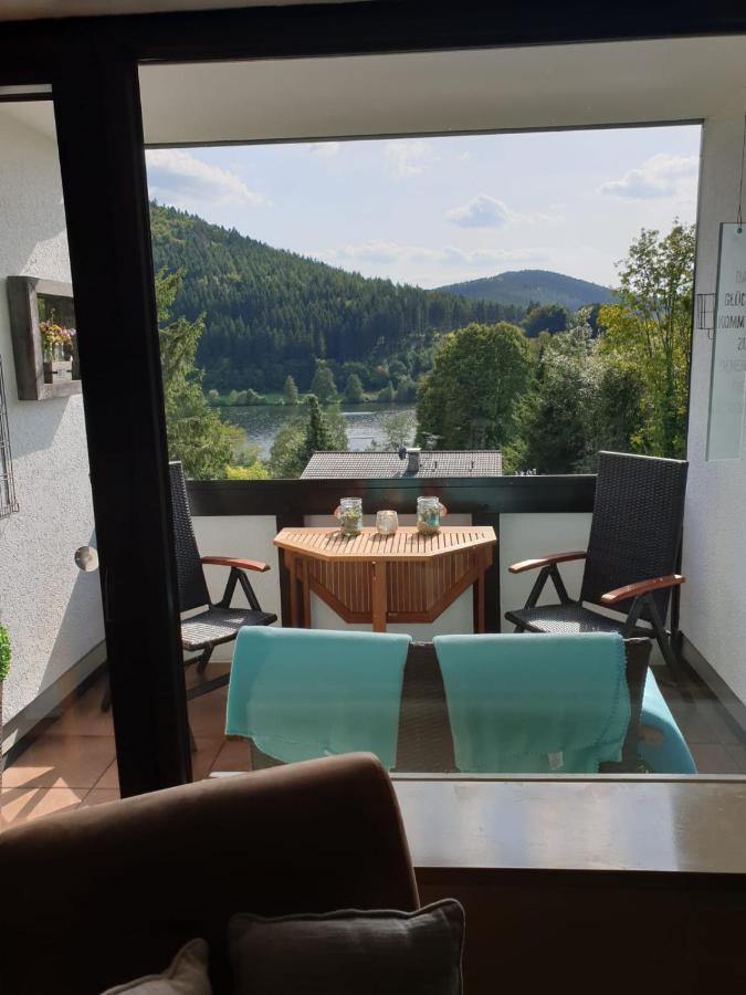 Ferienwohnung Zeitlos, Gigantischer Seeblick, Wlan, Gerne Mit Hund Winterberg Eksteriør billede