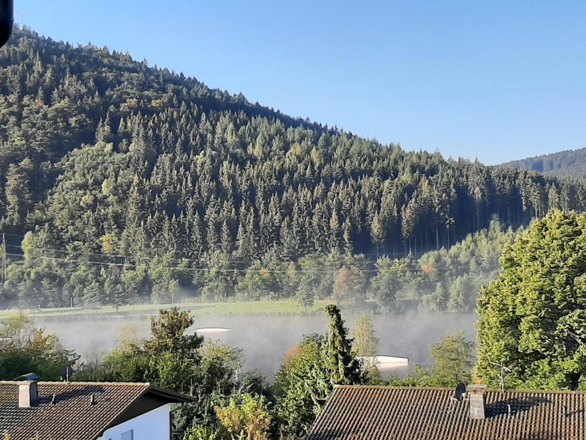 Ferienwohnung Zeitlos, Gigantischer Seeblick, Wlan, Gerne Mit Hund Winterberg Eksteriør billede